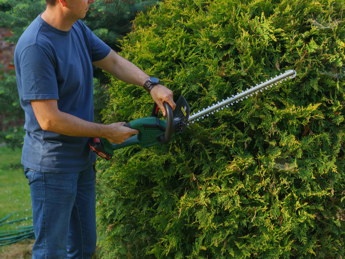 Boxwood hedges shaped into a clean rectangle along a residential walkway.